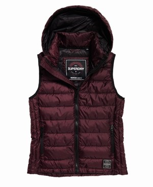 Superdry Core Luxe Női Kabát MélyLila | WDHTL0479